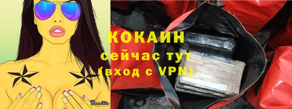шишки Балабаново