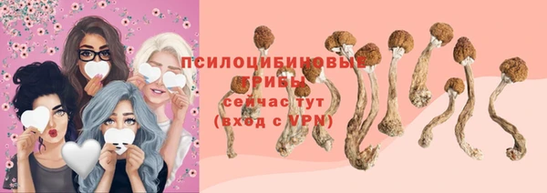 шишки Балабаново