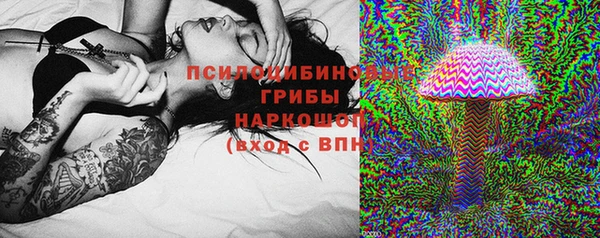 шишки Балабаново