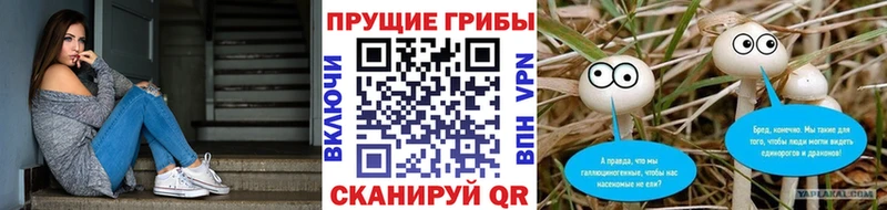 Галлюциногенные грибы Cubensis  OMG вход  Калининец  купить наркоту 